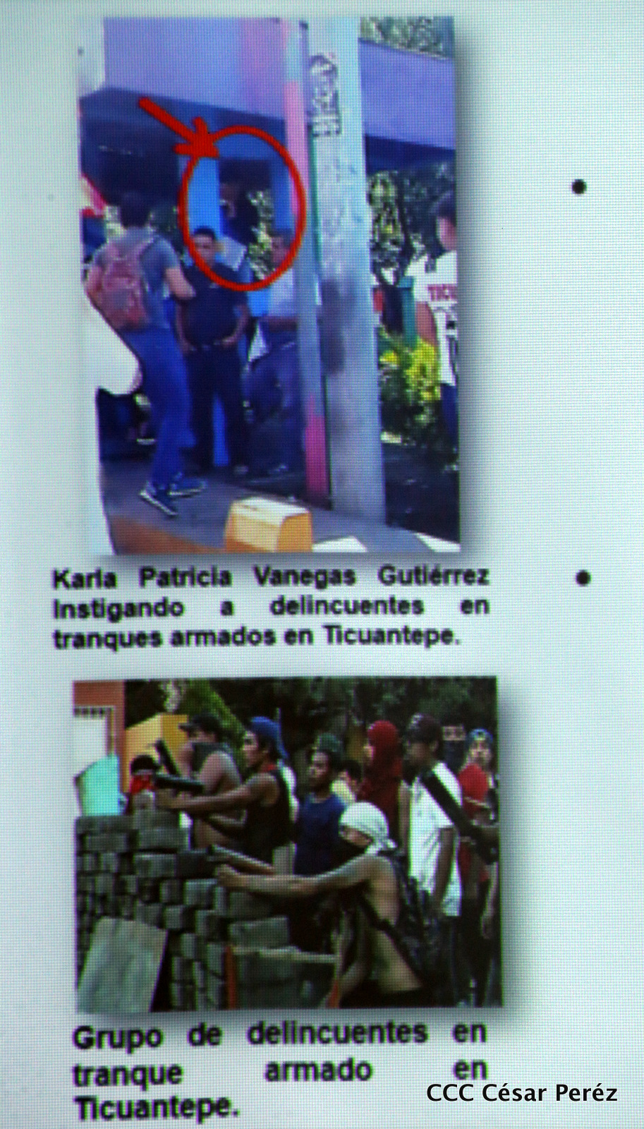 TERRORISTAS2